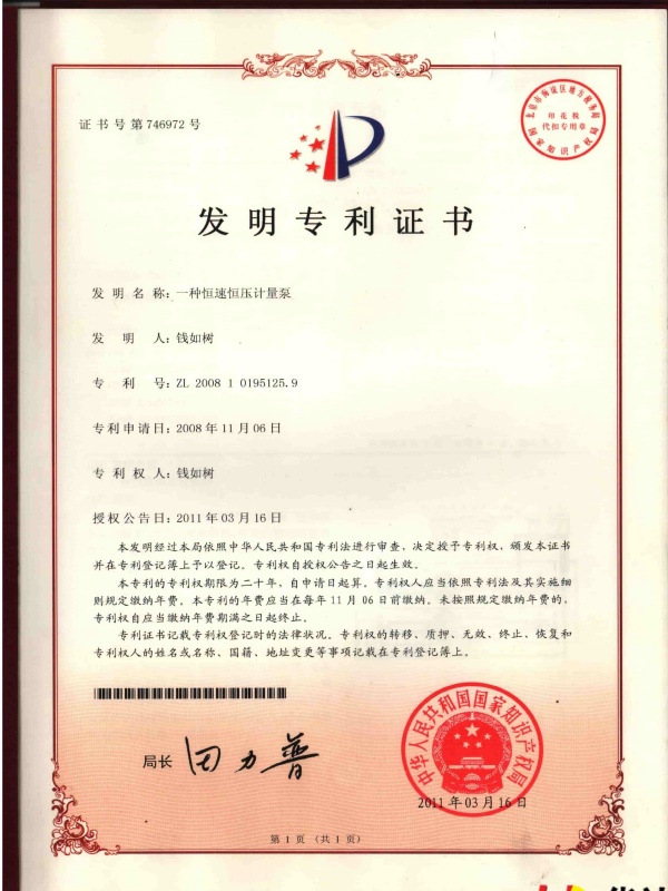 一种恒速恒压计量泵